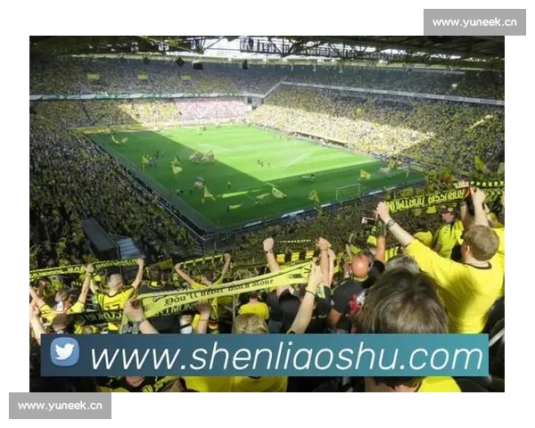 欧冠网页版一站式观赛体验攻略赛事直播数据分析与互动社区平台